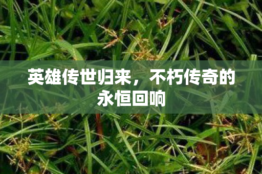 不朽传奇的永恒回响图片