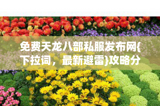 免费天龙八部私服发布网图片
