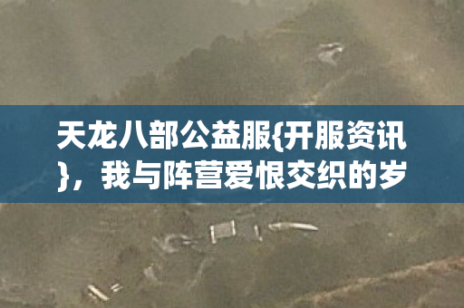 我与阵营爱恨交织的岁月图片