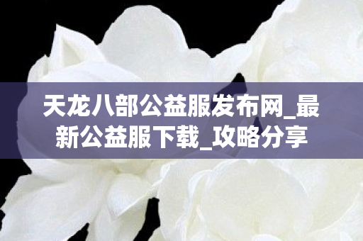 天龙八部公益服发布网图片