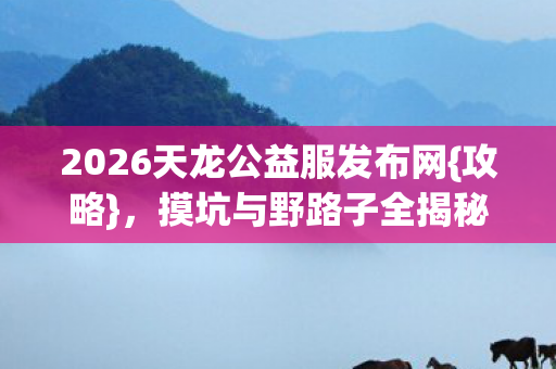 2026天龙公益服发布网图片