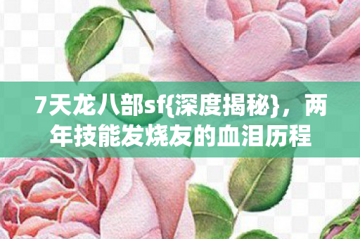 两年技能发烧友的血泪历程图片