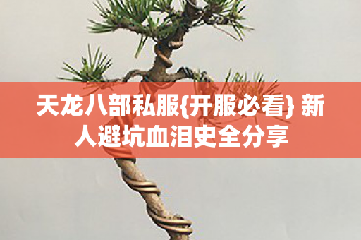 新人避坑血泪史全分享图片