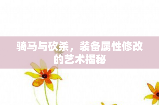 装备属性修改的艺术揭秘图片