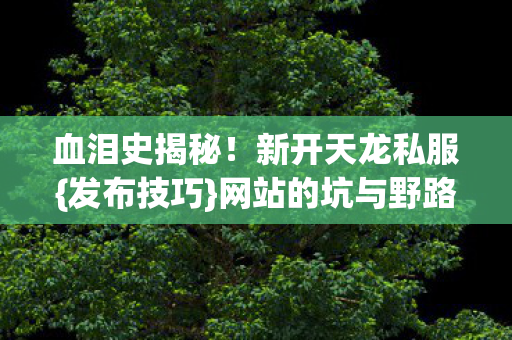 网站的坑与野路子图片