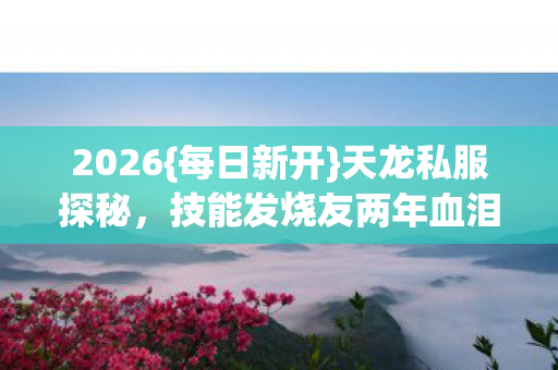 技能发烧友两年血泪史图片
