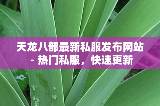 天龙八部最新私服发布网站图片
