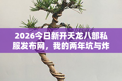 2026今日新开天龙八部私服发布网图片