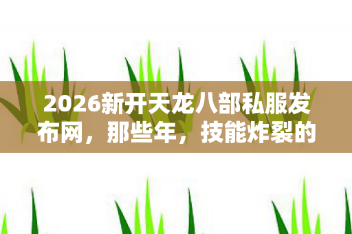 2026新开天龙八部私服发布网图片