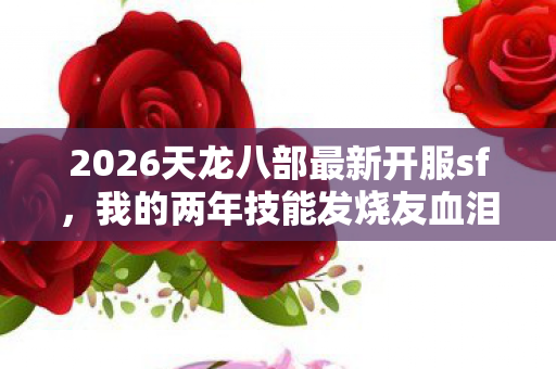 我的两年技能发烧友血泪史与游戏攻略分享图片