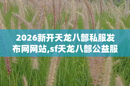 2026新开天龙八部私服发布网网站图片