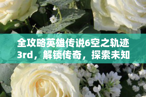 全攻略英雄传说6空之轨迹3rd图片