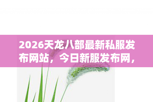 2026天龙八部最新私服发布网站图片
