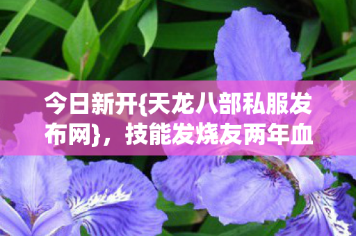 技能发烧友两年血泪分享图片