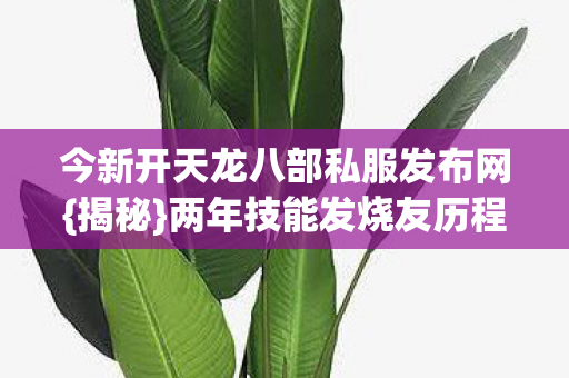 今新开天龙八部私服发布网图片