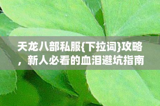 新人必看的血泪避坑指南图片