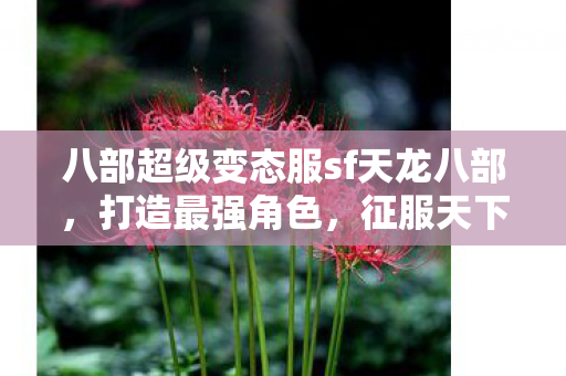 八部超级变态服sf天龙八部图片