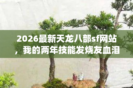 2026最新天龙八部sf网站图片