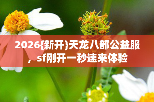 sf刚开一秒速来体验图片