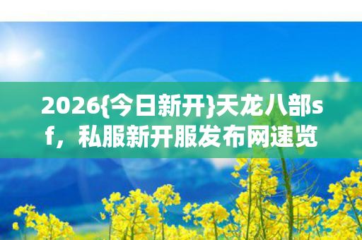 私服新开服发布网速览图片