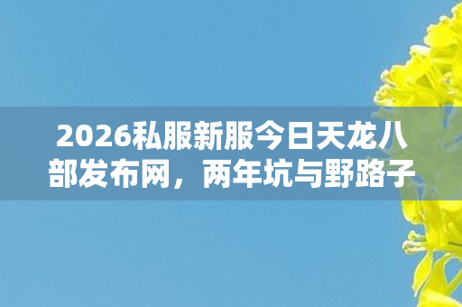 2026私服新服今日天龙八部发布网图片