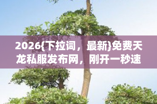 免费天龙私服发布网图片