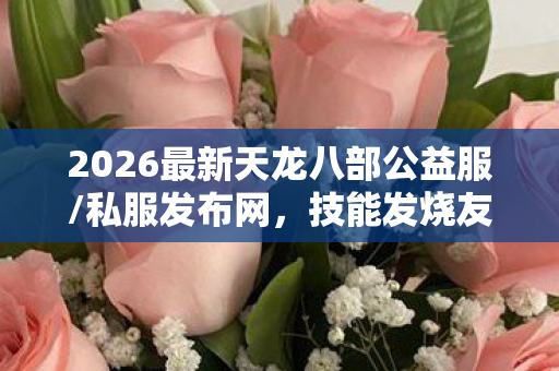 2026最新天龙八部公益服图片
