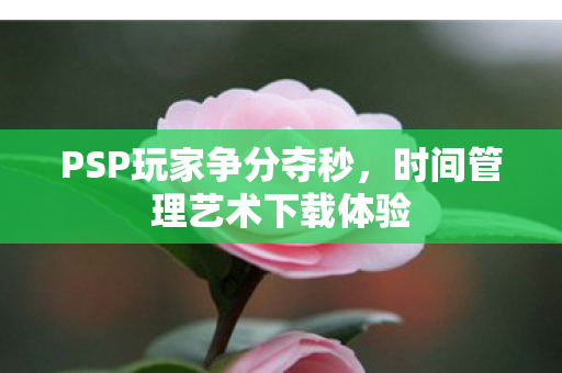 时间管理艺术下载体验图片