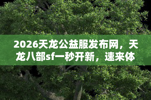 2026天龙公益服发布网图片