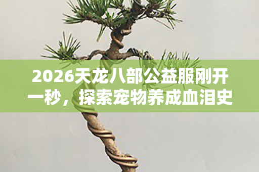 2026天龙八部公益服刚开一秒图片