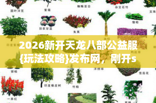2026新开天龙八部公益服图片