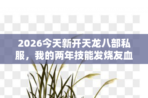 2026今天新开天龙八部私服图片