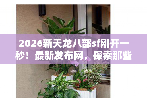 2026新天龙八部sf刚开一秒图片