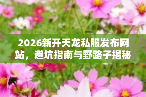 2026新开天龙私服发布网站图片