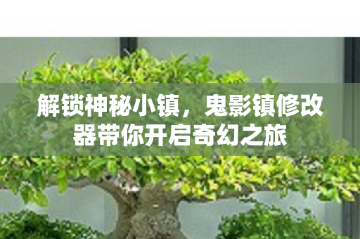 鬼影镇修改器带你开启奇幻之旅图片
