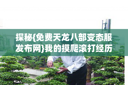 免费天龙八部变态服发布网图片