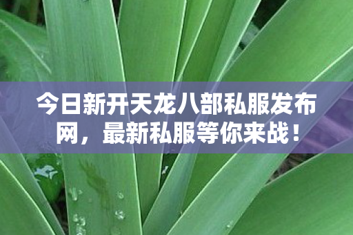 今日新开天龙八部私服发布网图片