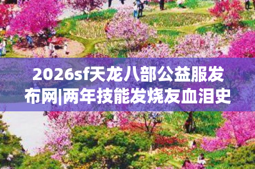 2026sf天龙八部公益服发布网图片