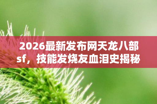 2026最新发布网天龙八部sf图片