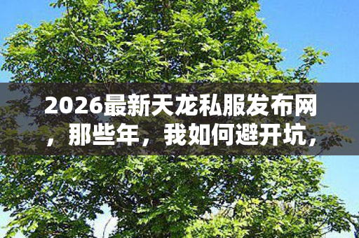 2026最新天龙私服发布网图片