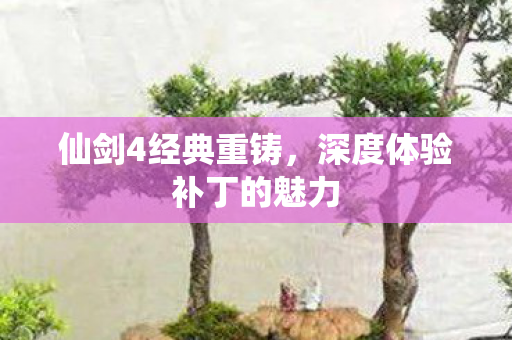 深度体验补丁的魅力图片