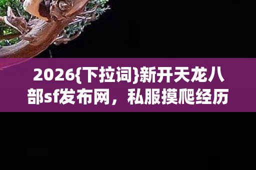 新开天龙八部sf发布网图片