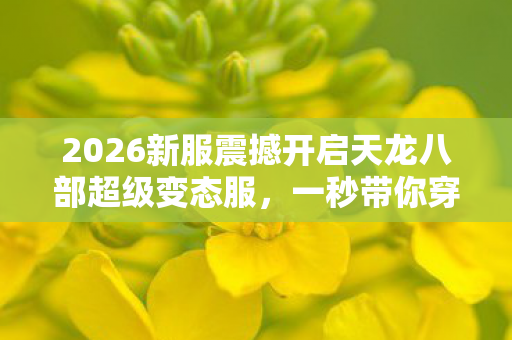 2026新服震撼开启天龙八部超级变态服图片