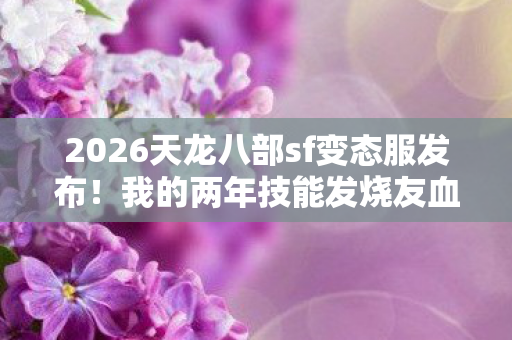我的两年技能发烧友血泪史与最新开服资讯图片