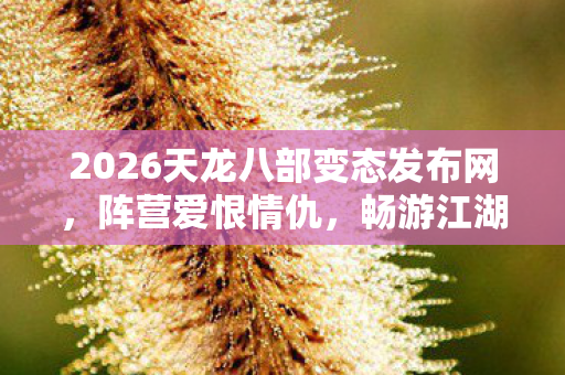 2026天龙八部变态发布网图片