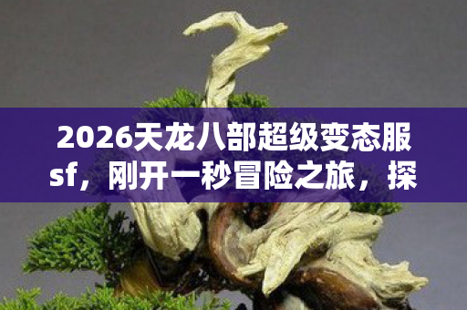 2026天龙八部超级变态服sf图片