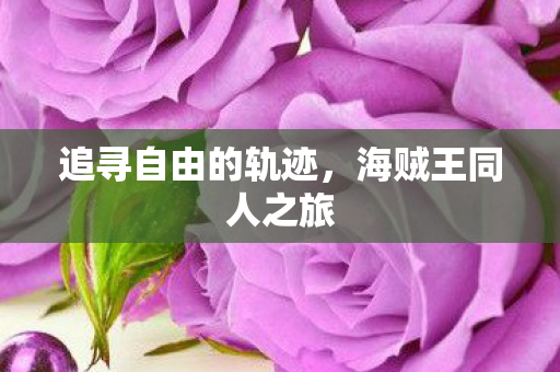 追寻自由的轨迹图片