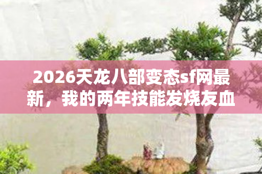 我的两年技能发烧友血泪史与游戏攻略分享图片