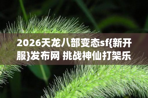 2026天龙八部变态sf图片