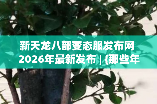 新天龙八部变态服发布网 2026年最新发布图片